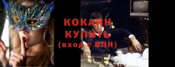 индика Белоозёрский