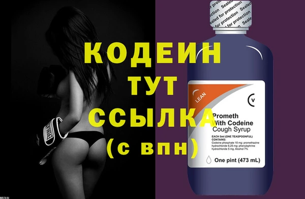 хмурый Белокуриха