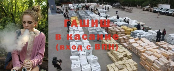 хмурый Белокуриха