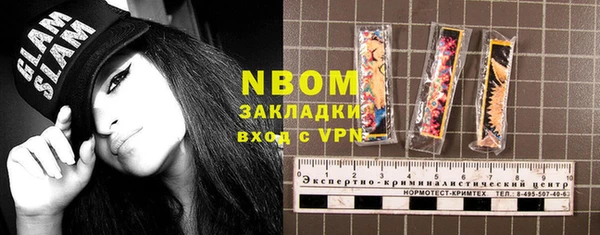 хмурый Белокуриха