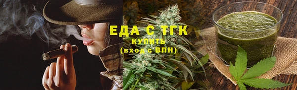 хмурый Белокуриха