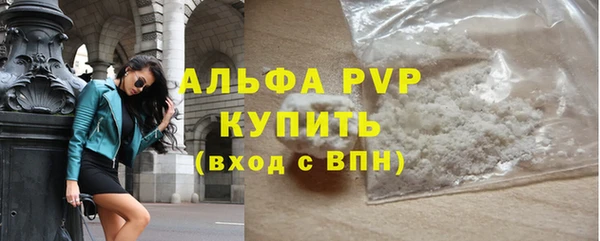 хмурый Белокуриха