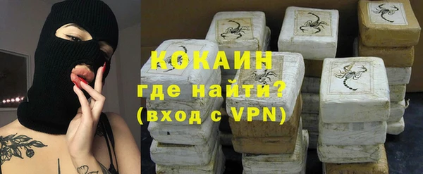 индика Белоозёрский