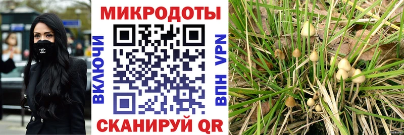что такое   Лыткарино  hydra вход  Псилоцибиновые грибы Psilocybe 