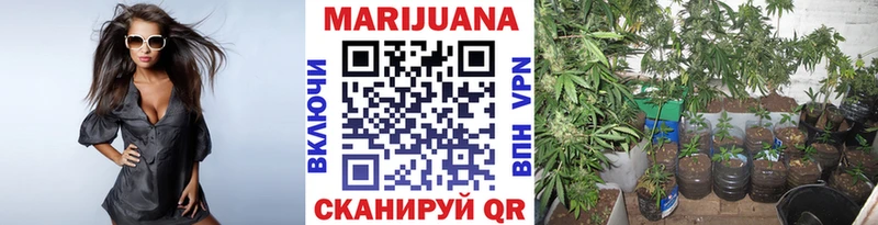 купить наркотик Лыткарино Марихуана White Widow